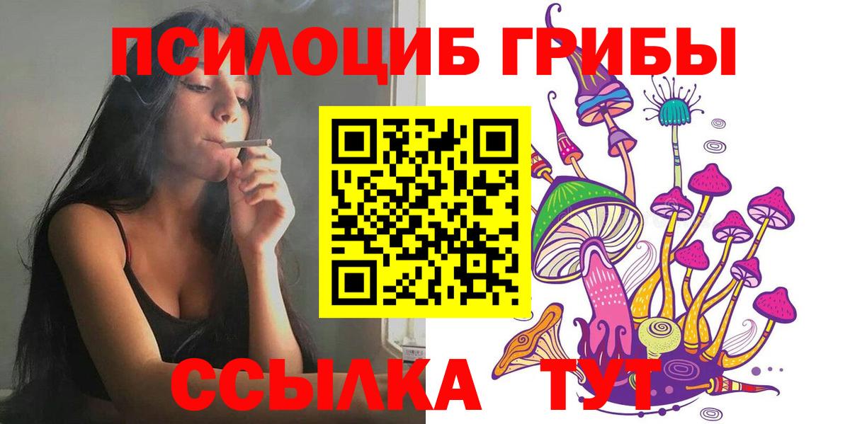 даркнет сайт  Галлюциногенные грибы Cubensis  Вход с VPN  Череповец 